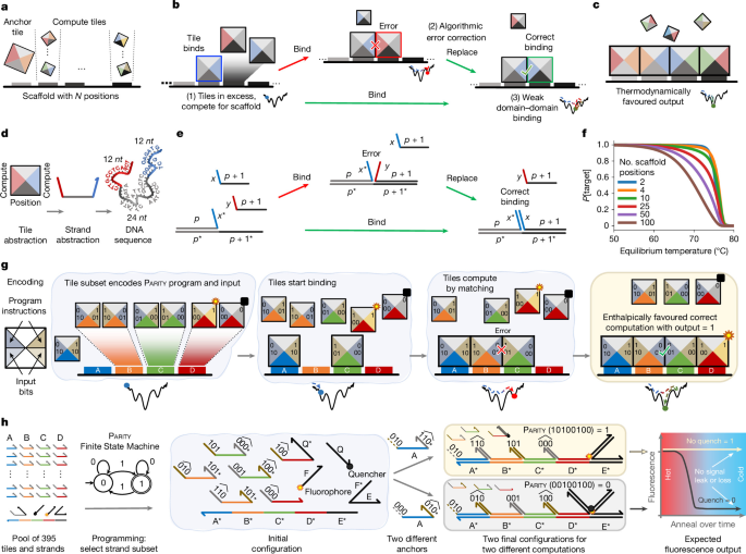 Схема Scaffolded DNA Computer